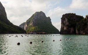 Halong Bay Vietnam Floating village at Halong Bay in Northern Vietnam.