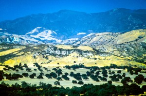 California Plains Plains and hills on the Southern California coast. This image with its striking yellow wildflowers was taken just off the El Camino Real, Highway 101