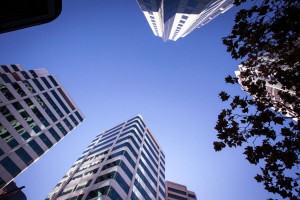Chatswood Skyline Upward view to the towers of Chatswood, taken from Victoria Avenue for management consulting firm, Evans & Peck