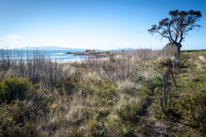 Tasmania Coast Shed on the Shore, East Coast of Tasmania.