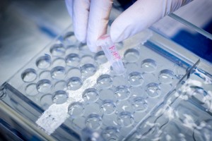 DNA Sample Tray Small tubes like this one are used in the laboratories of the Children's Cancer Institute Australia to contain DNA samples, extracted from human tissue. A vast amount of DNA study is done by the institute in the fight against childhood cancer.