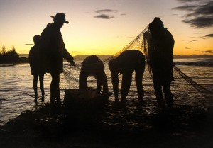 Net Fishermen Fishermen sorting their catch on a beach near Byron Bay NSW, Australia.