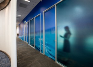 Ghost in Office Sydney Water offices at Liverpool NSW. Designed by Custance Associates, Australia