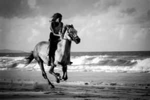 Gallop Liz Galloping her horse on Belongil Beach, North of Byron Bay.
