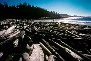 Logging Waste Vancouver Island in British Columbia, Canada has seen a long fought battle between loggers and environmental activists. This beach tells a story of environmental change that is hard to ignore. This is the waste product of logging in the area.