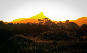 Mount Warning