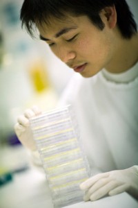 Handling Samples Scientist with petri dishes at Children's Cancer Institute Australia