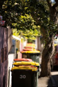 Recycling Bins Taken for the annual report of WSN Environmental Solutions, this row of bins added colour to the street. They don't always look this pretty.
