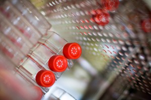 Sample Bottles Sample bottles in a laboratory refrigerator. They are collected as part of research into the prevention of childhood cancer by the Children's Cancer Institute Australia.
