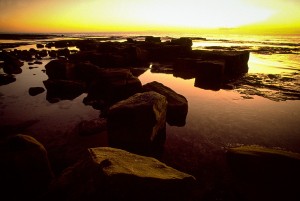 Sea Rocks These rocks on NSW's South Coast worked beautifully with the sunrise to create a natural sculpture in the still water.