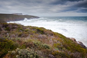 Storm Coast Tasmania Stormy seas on the southern coastline of the Tasman Peninsula, 12 km south of Port Arthur, Tasmania.