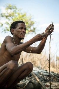 Nhoma Hunter Bushman hunter preparing a snare. Nhoma Namibia.