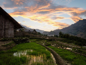 Vietnamese Village The hills surrounding the town of Sapa in Northern Vietnam are home to some of the most spectacular agricultural scenery in the world. It is a very tough life for the locals though. The terraced slopes make use of land that farmers in most other countries would leave uncultivated. Producing rice here is hard physical work. To add to this there is only one growing season each year. Their rice has to compete with that which is grown three times a year, on flat land, close to main transport arteries. In a bad season local rice farmers might have to sell livestock to pay for rice to make up for their own needs. Their big hope now is tourism but we have seen what this can do. Yes, I was a tourist. I hope I didn't leave a bad impression.